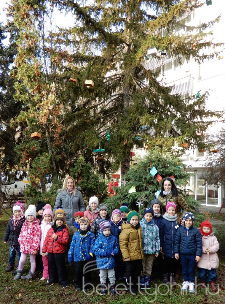 Fenyődíszítés a kórházban 20